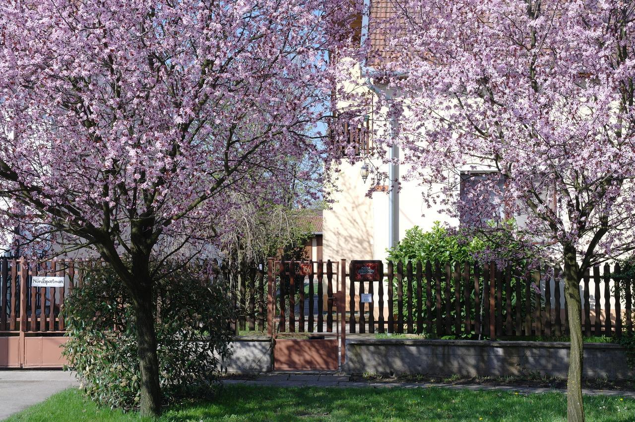Nora Apartman Gyula Dış mekan fotoğraf